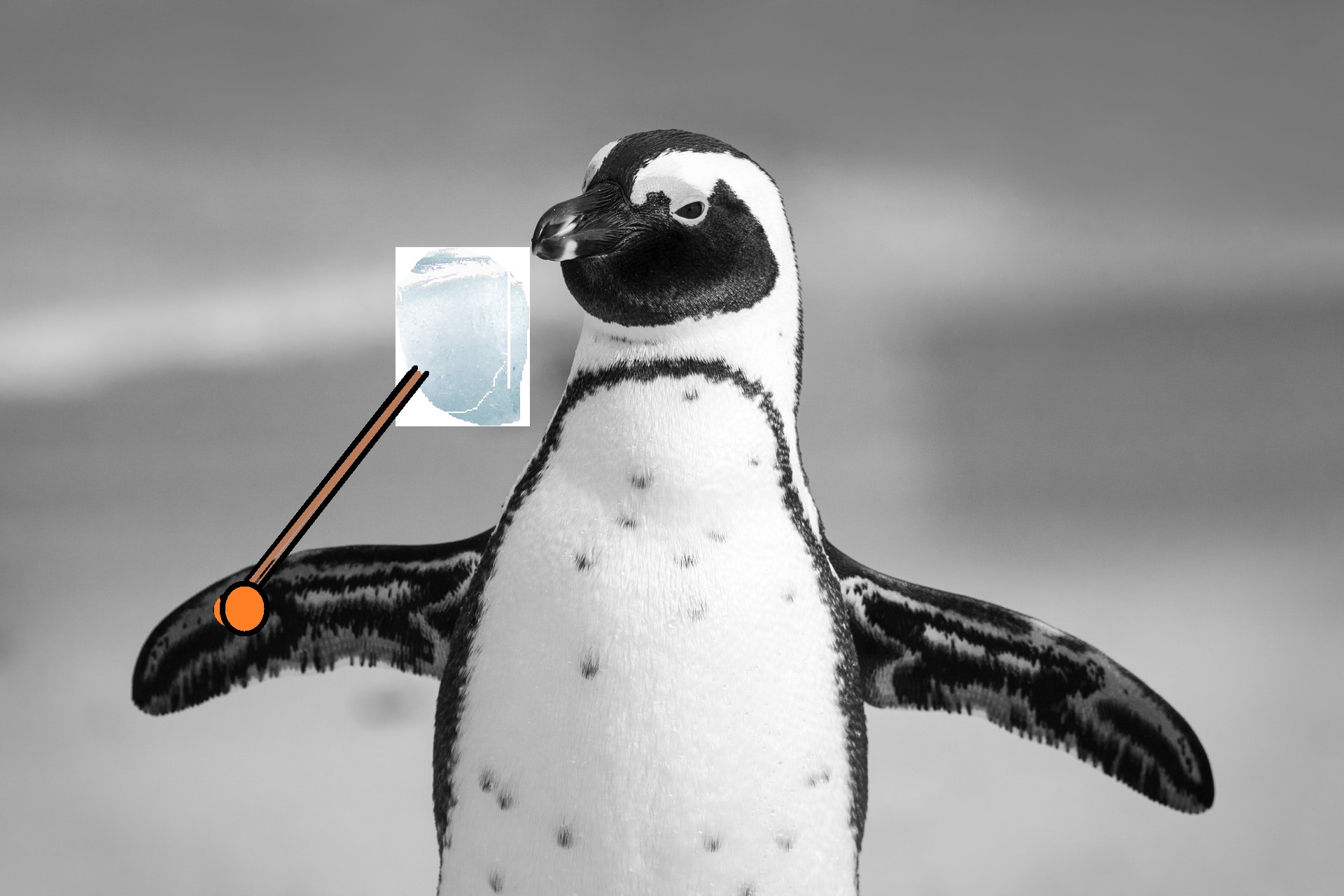 PINGUIN Gletschereis