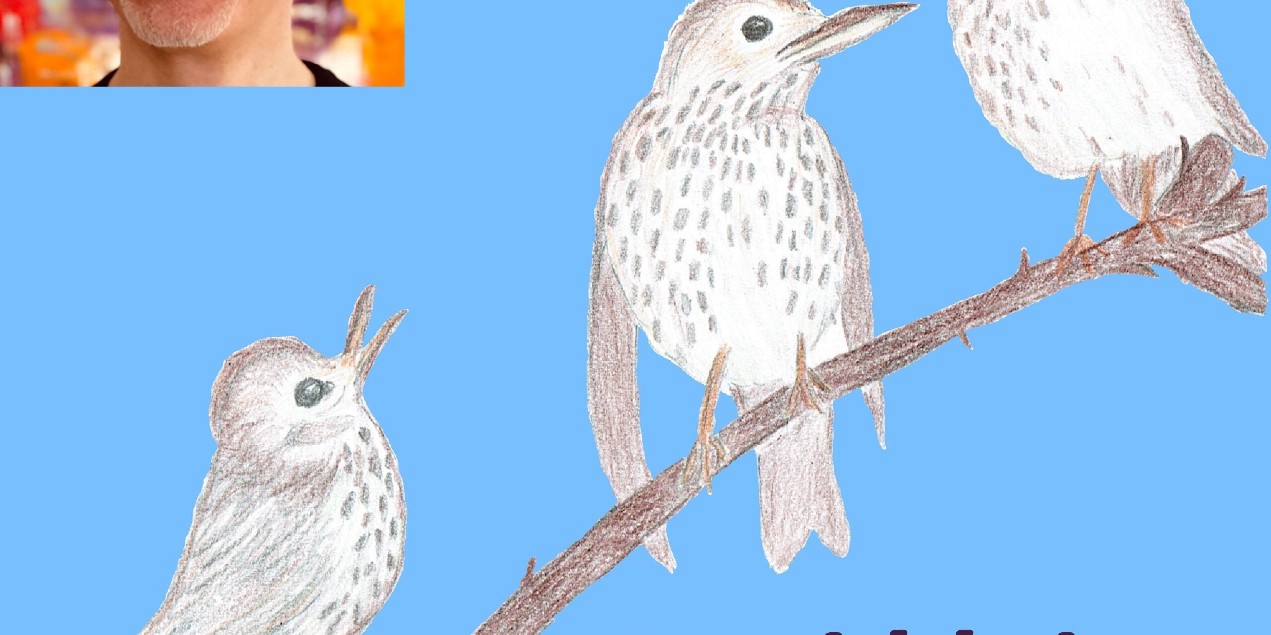 Drei kleine Drosseln COVER