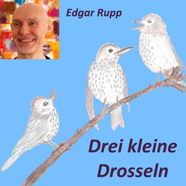 Drei kleine Drosseln COVER