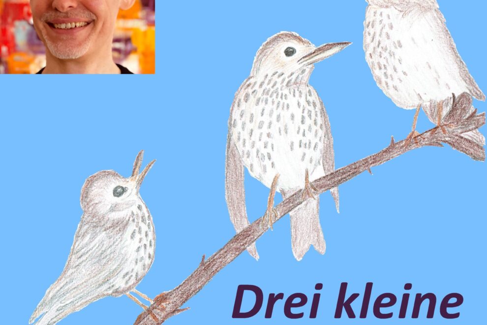 Drei kleine Drosseln COVER